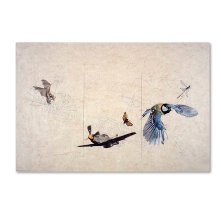 Nick Bantock 'Wings' Canvas Art,22x32